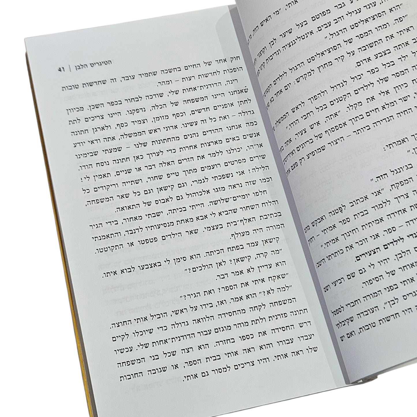 ארווינד אדיגה | הטיגריס הלבן | 2008