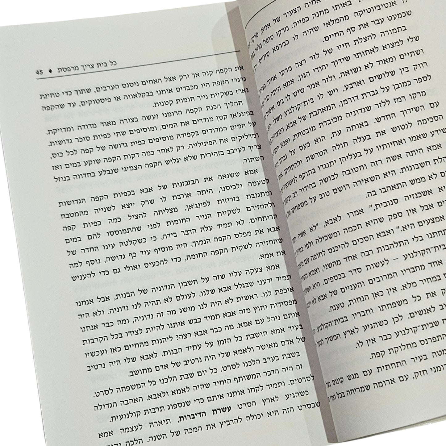 רינה פרנק מיטרני | כל בית צריך מרפסת | 2005