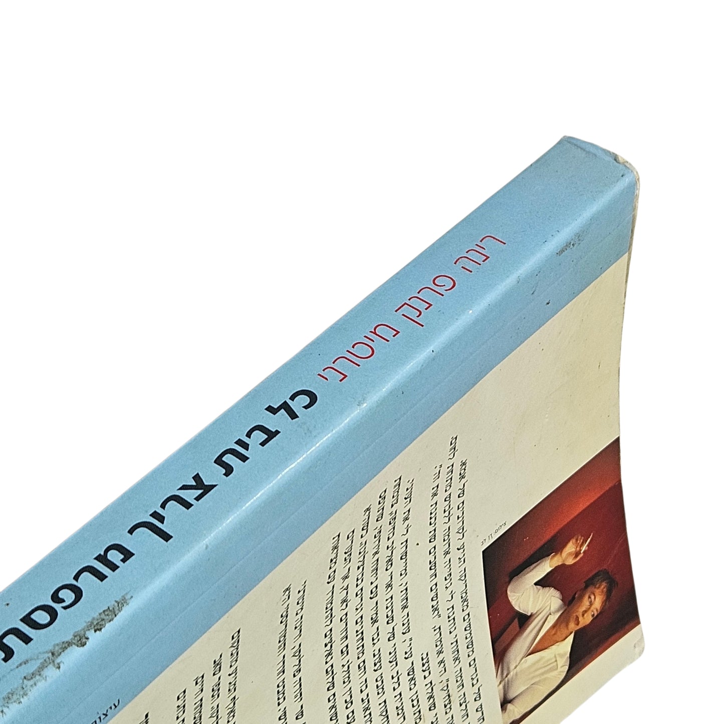 רינה פרנק מיטרני | כל בית צריך מרפסת | 2005
