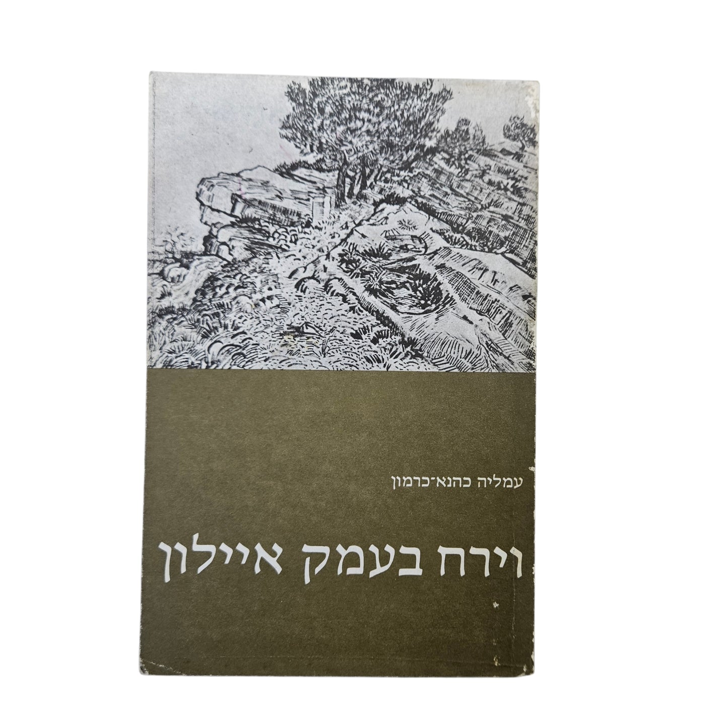 וירח בעמק איילון | עמליה כהנא־כרמון | 1971