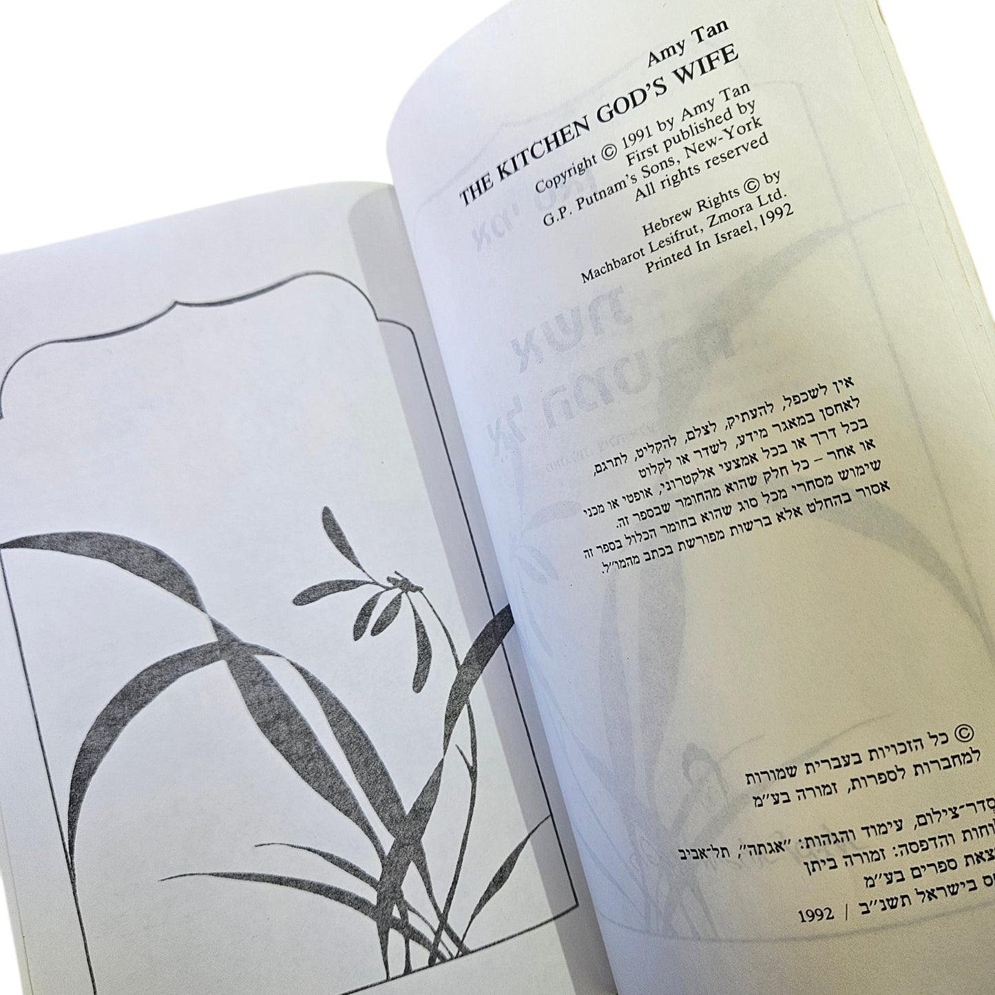 אמי טאן | אשת אל המטבח | כנרת־זמורה־ביתן | 1992