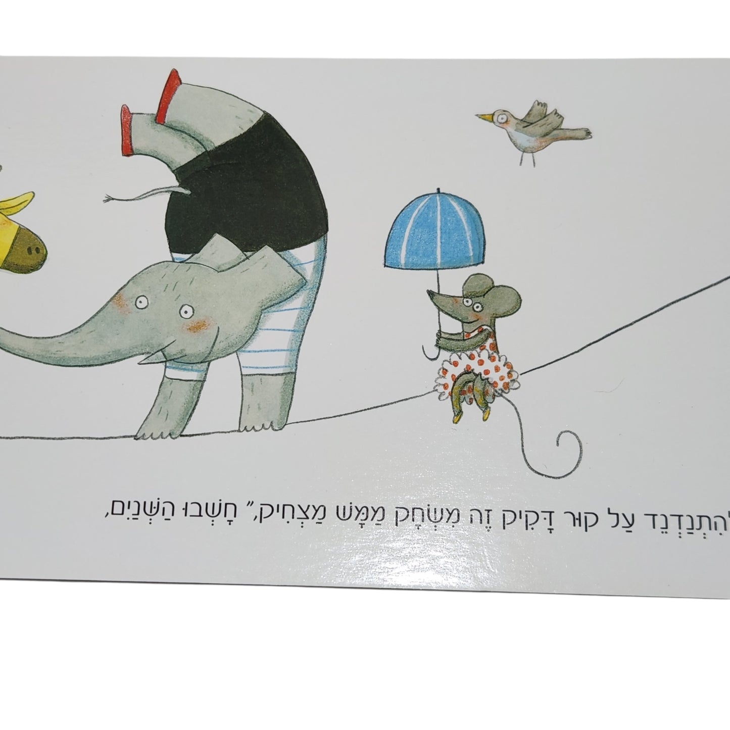 להפיל פיל | מריאן דובוק | כנרת זמורה־ביתן | 2012