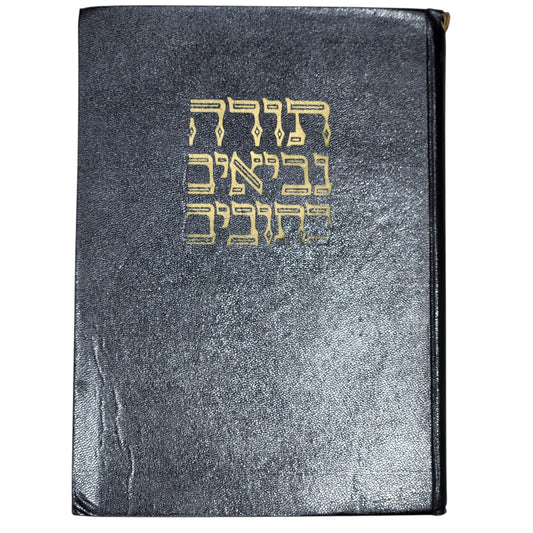 אנשל גרין | ספר בראשית | הוצאת יבנה | 1959