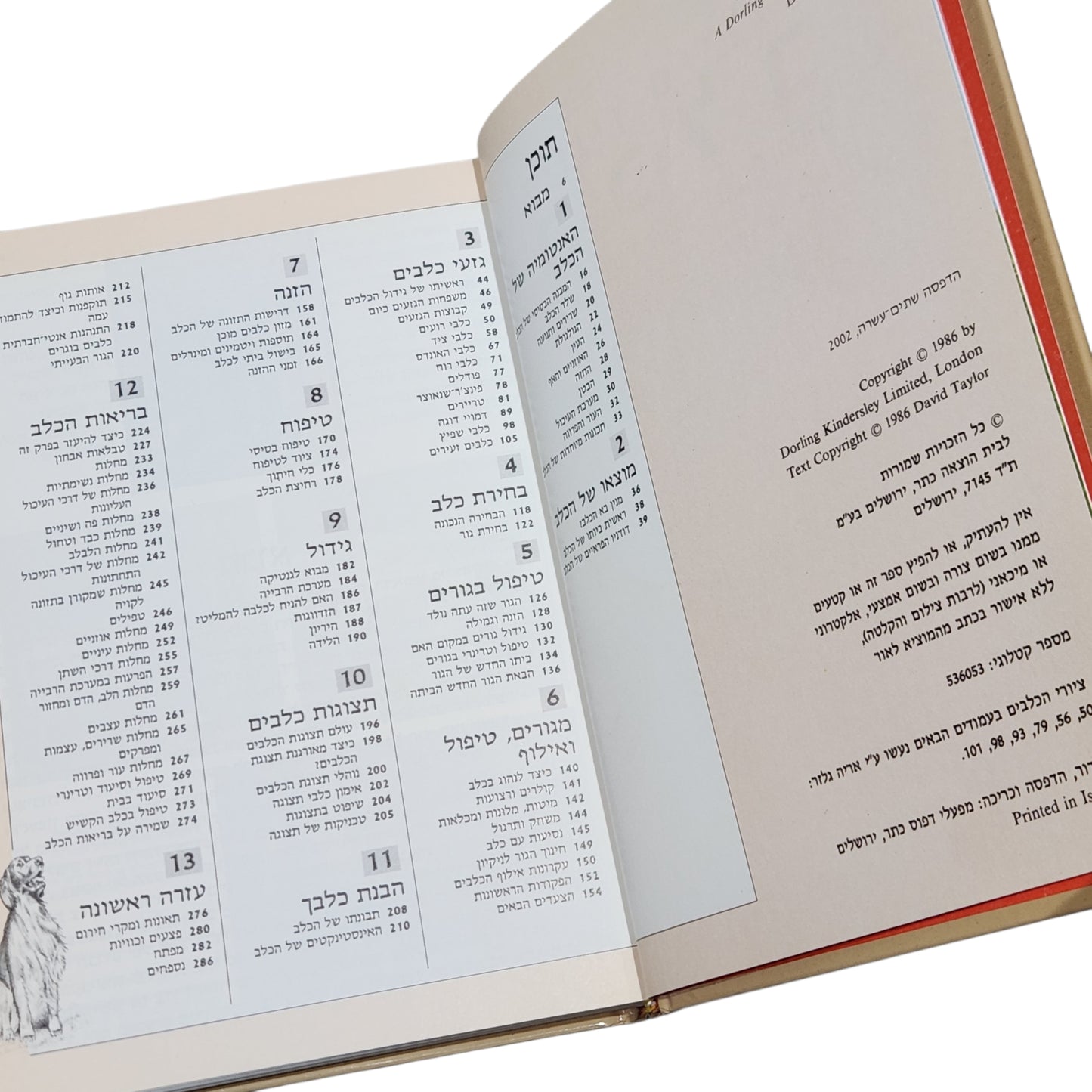 דיוויד טיילור - הכלב | המדריך השלם לטיפול בכלבים וגידולם