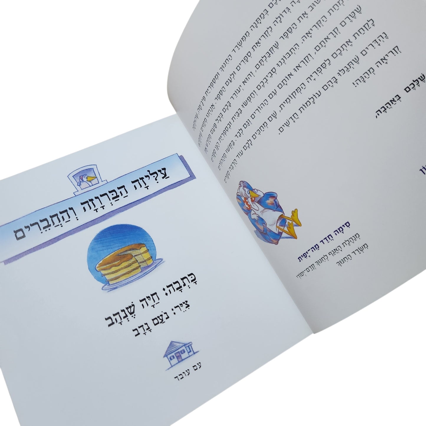 עלילת הברווז והחברים | חיה שנהב | ספר ילדים