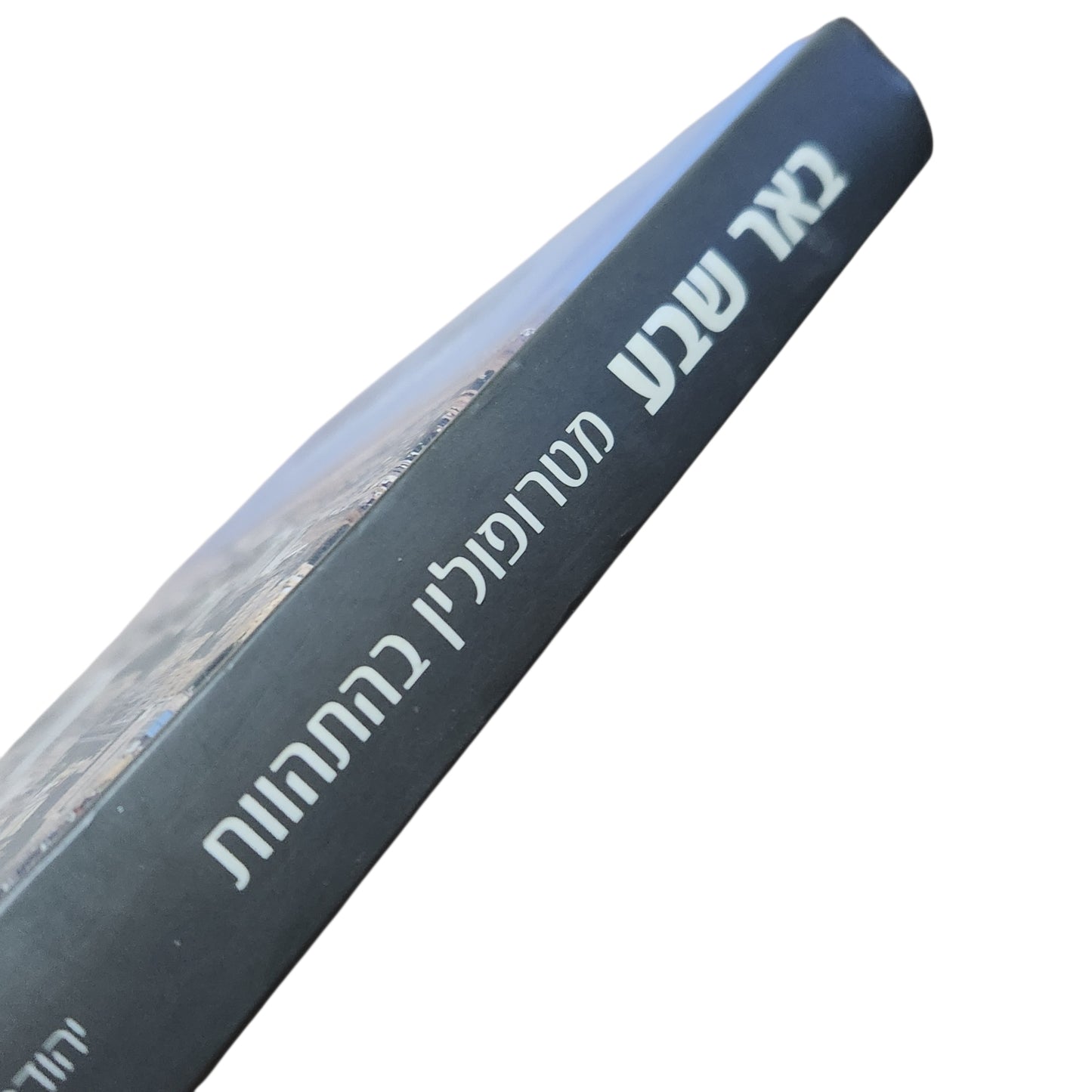 באר שבע – מטרופולין בהתהוות | יהודה גרדוס ואסתר מאיר־גליצנשטיין | 2008