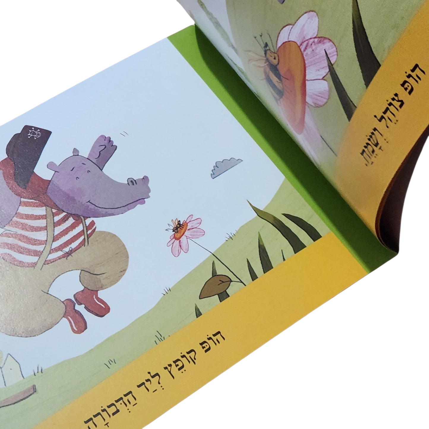 הופ והדבורה | ספר ילדים לגיל 4 ומעלה