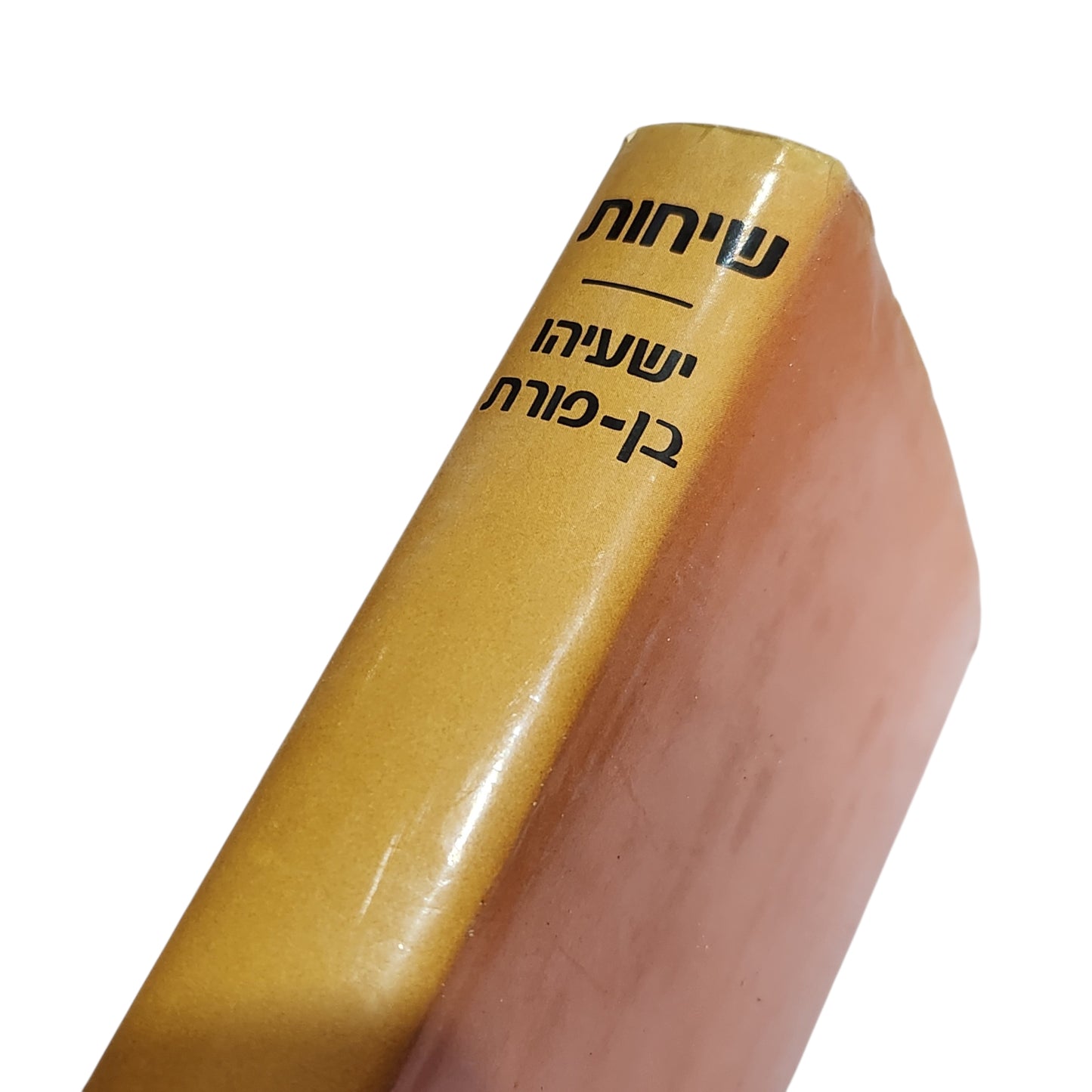 שיחות | ישעיהו בן־פורת | 1981