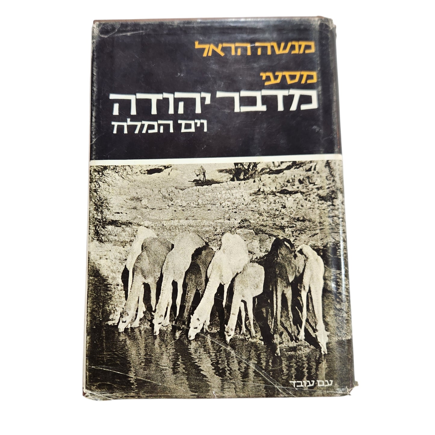 מדברי יהודה – ים המלח | מנשה הראל | 1971