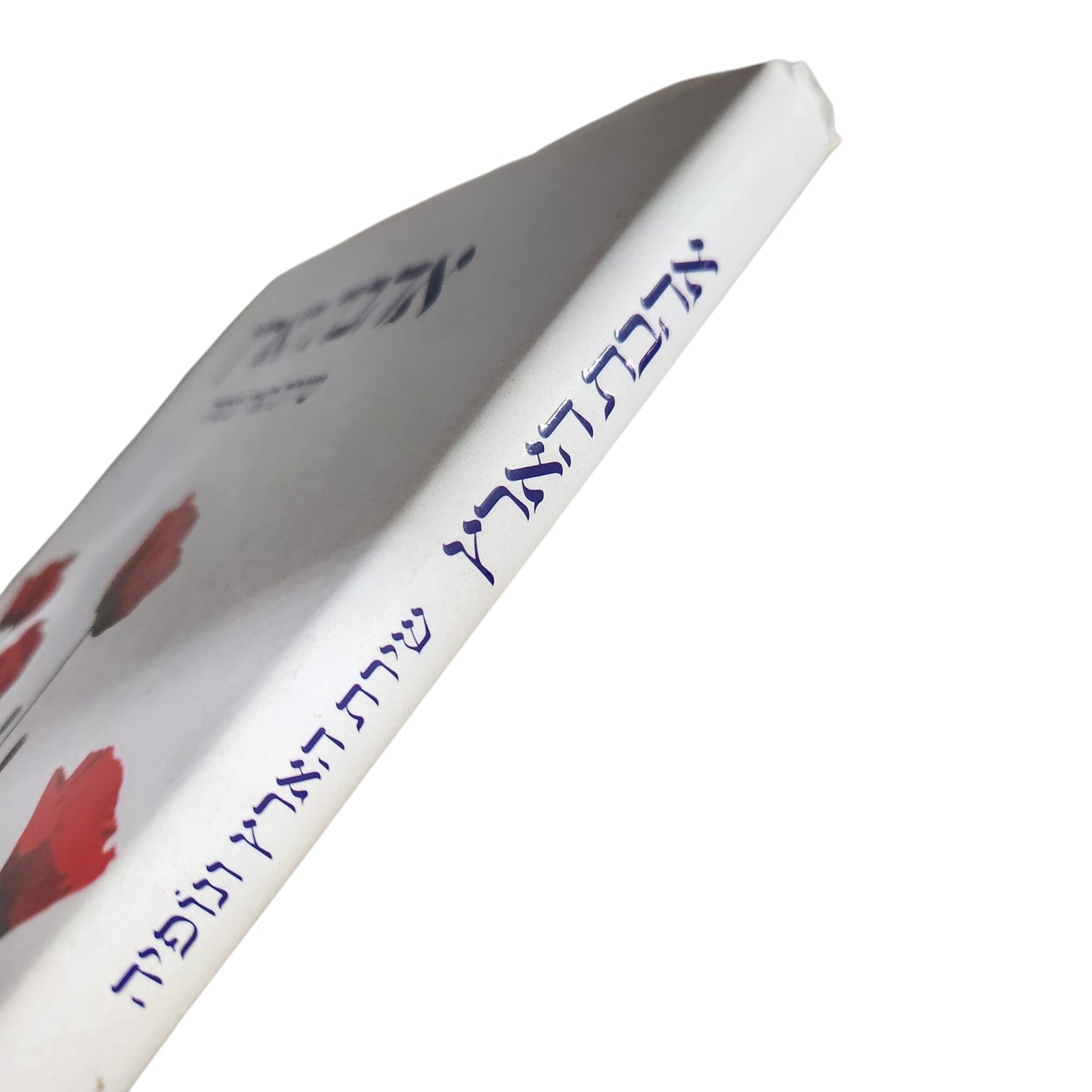 ואהבת את הארץ – שירת הארץ ונופיה | שירי אהבה לארץ ישראל | 2016
