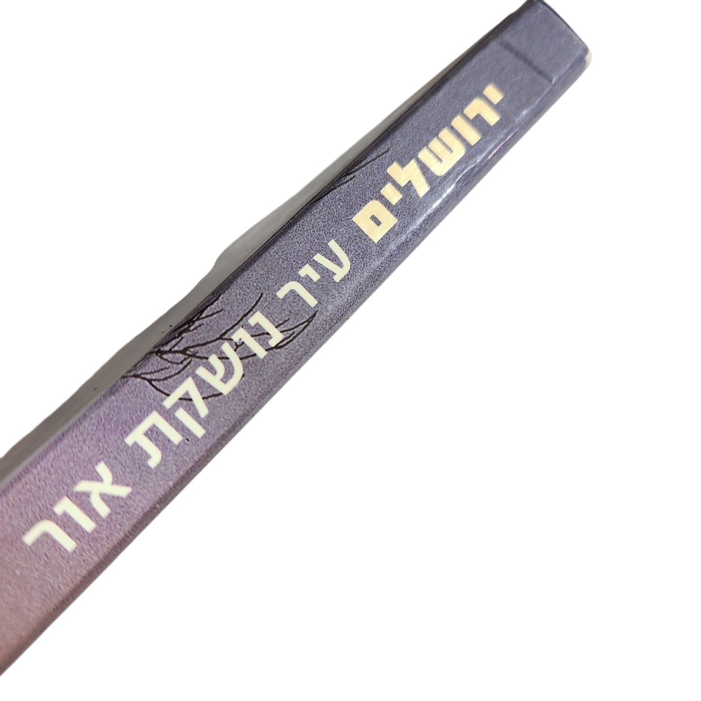 ירושלים – עיר בושמת אור | מרדכי נאור וברוך גיאן | אלבום ירושלים