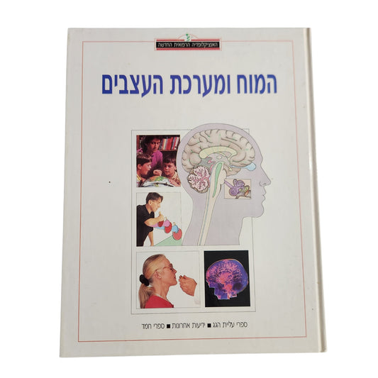 המוח ומערכת העצבים | האנציקלופדיה הרפואית החדשה