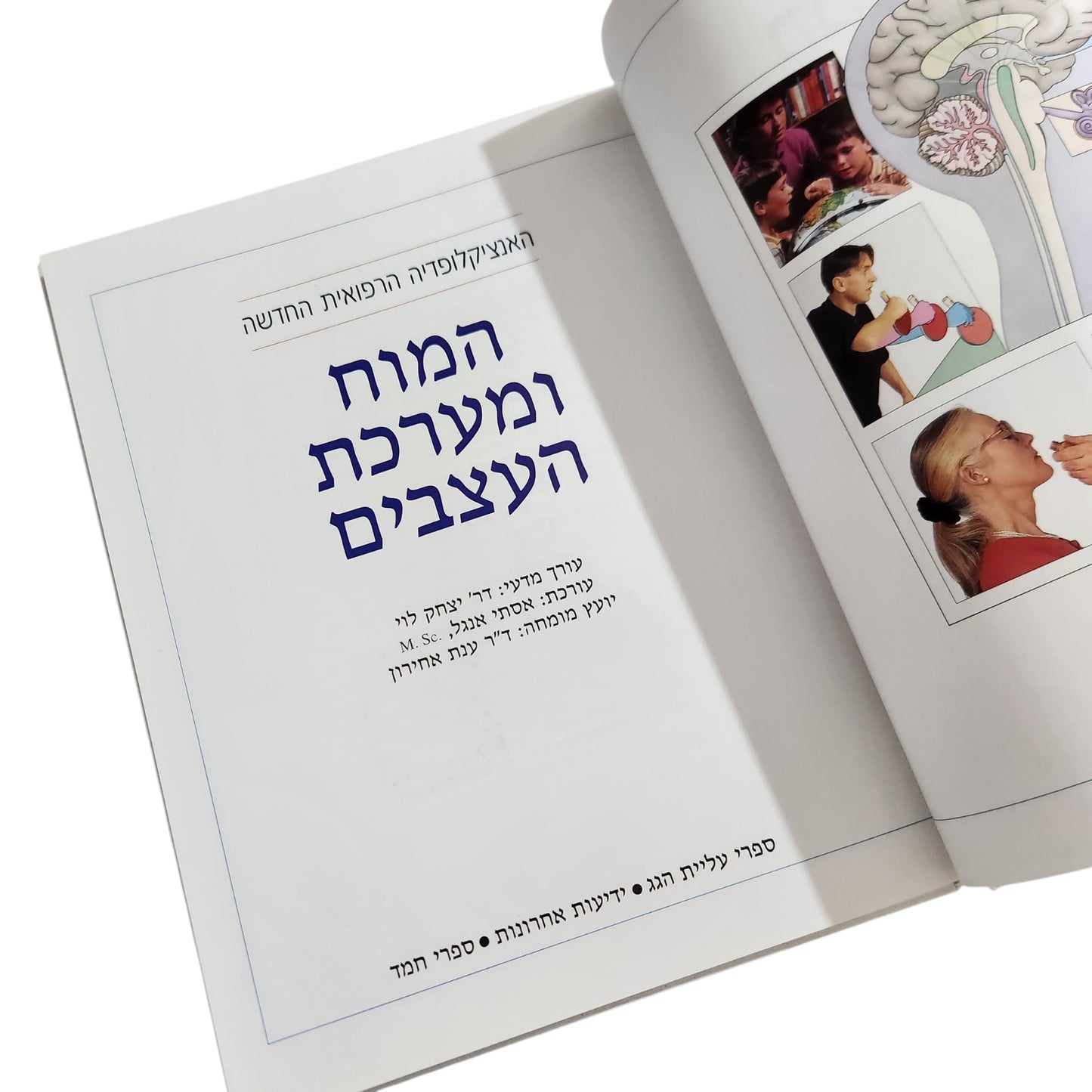 המוח ומערכת העצבים | האנציקלופדיה הרפואית החדשה