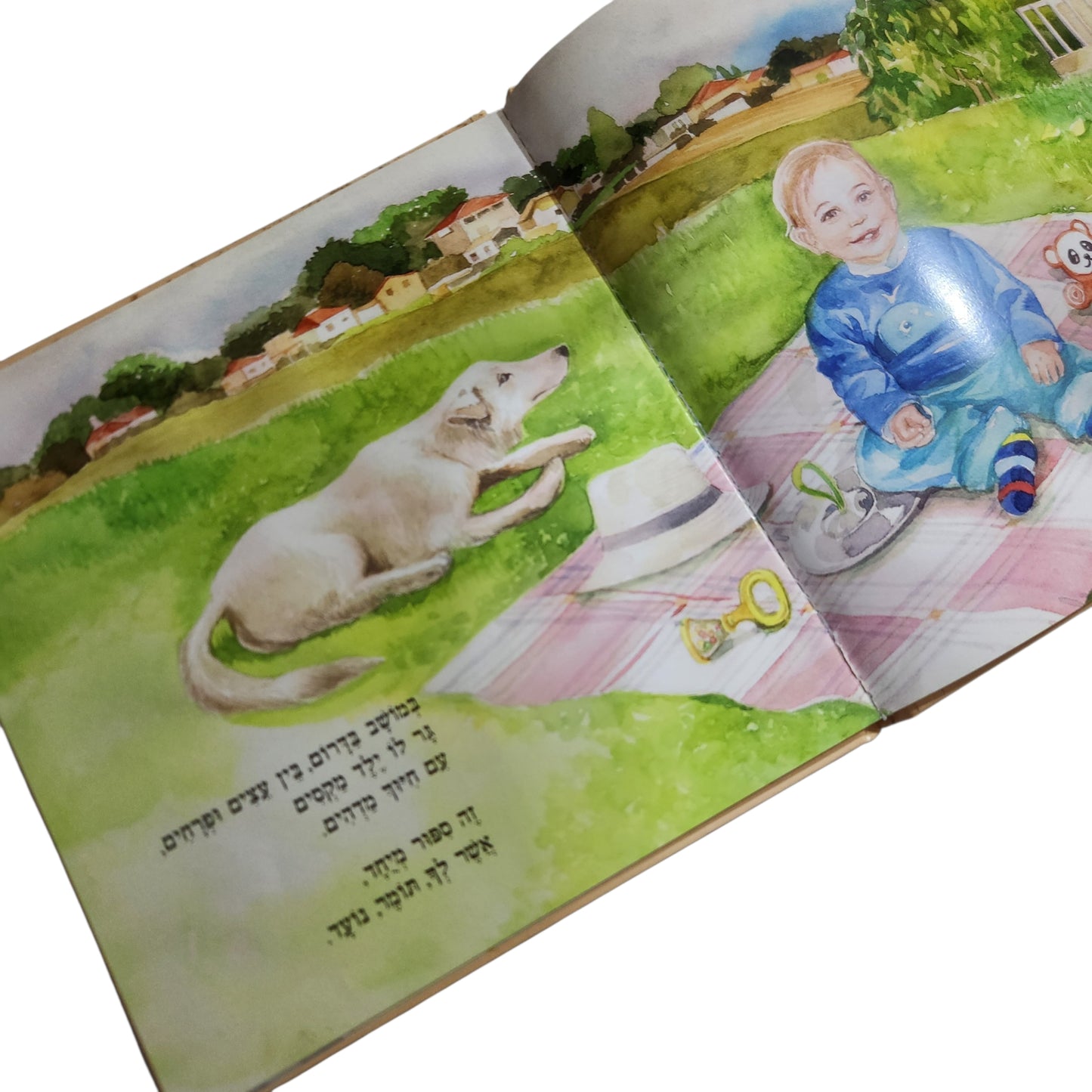 גל גלית חכמון – רציתי אותך | ספר ילדים