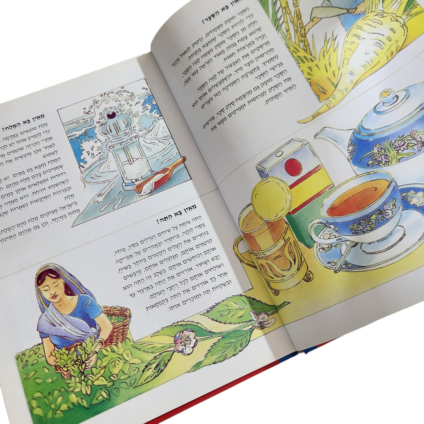 הספר הראשון של השאלות והתשובות – תשובות פשוטות לשאלות קשות