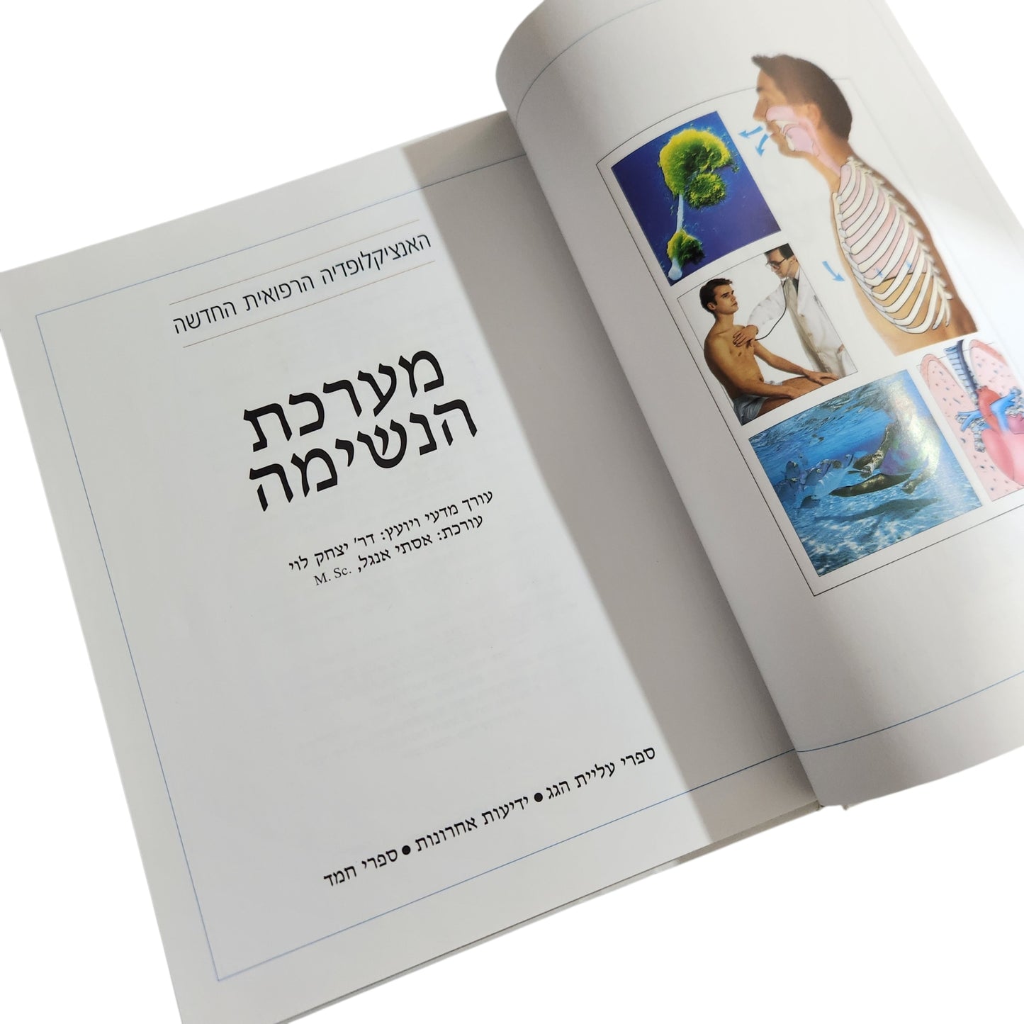 מערכת הנשימה – האנציקלופדיה הרפואית החדשה
