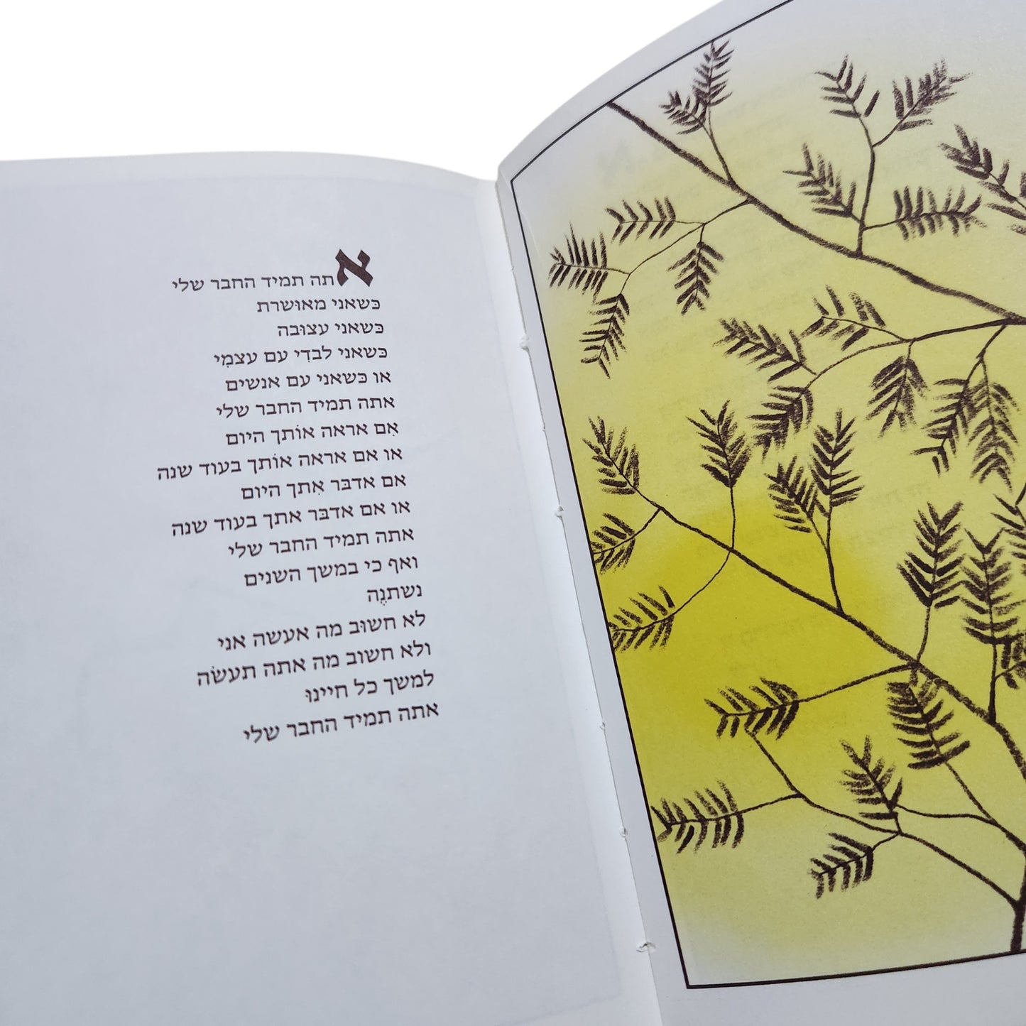 למצוא אושר בכל דבר | סוזן פוליס שוץ
