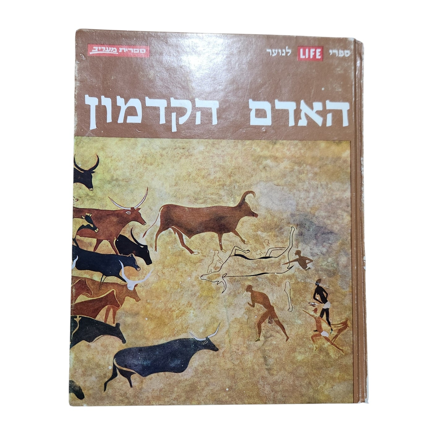 האדם הקדמון | ספר LIFE לנוער | סדרת מעורב | 1972