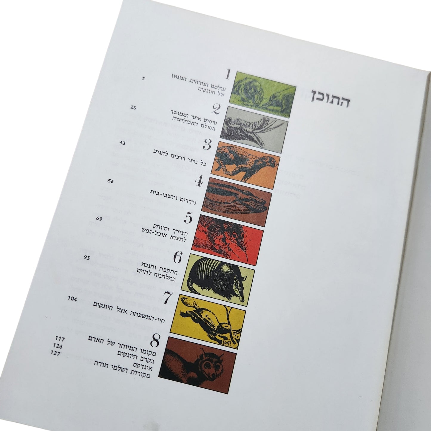 היונקים | ספר LIFE לנוער | סדרת מעורב | 1972