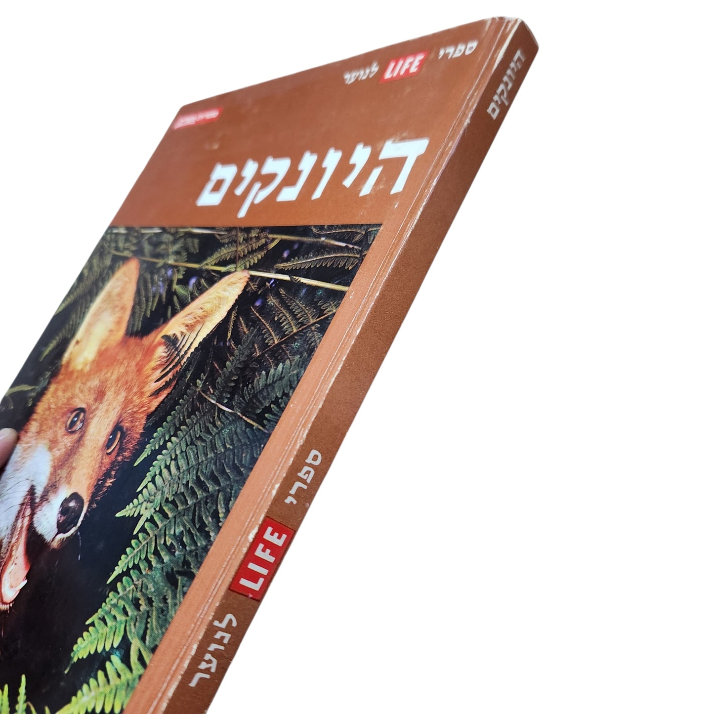 היונקים | ספר LIFE לנוער | סדרת מעורב | 1972