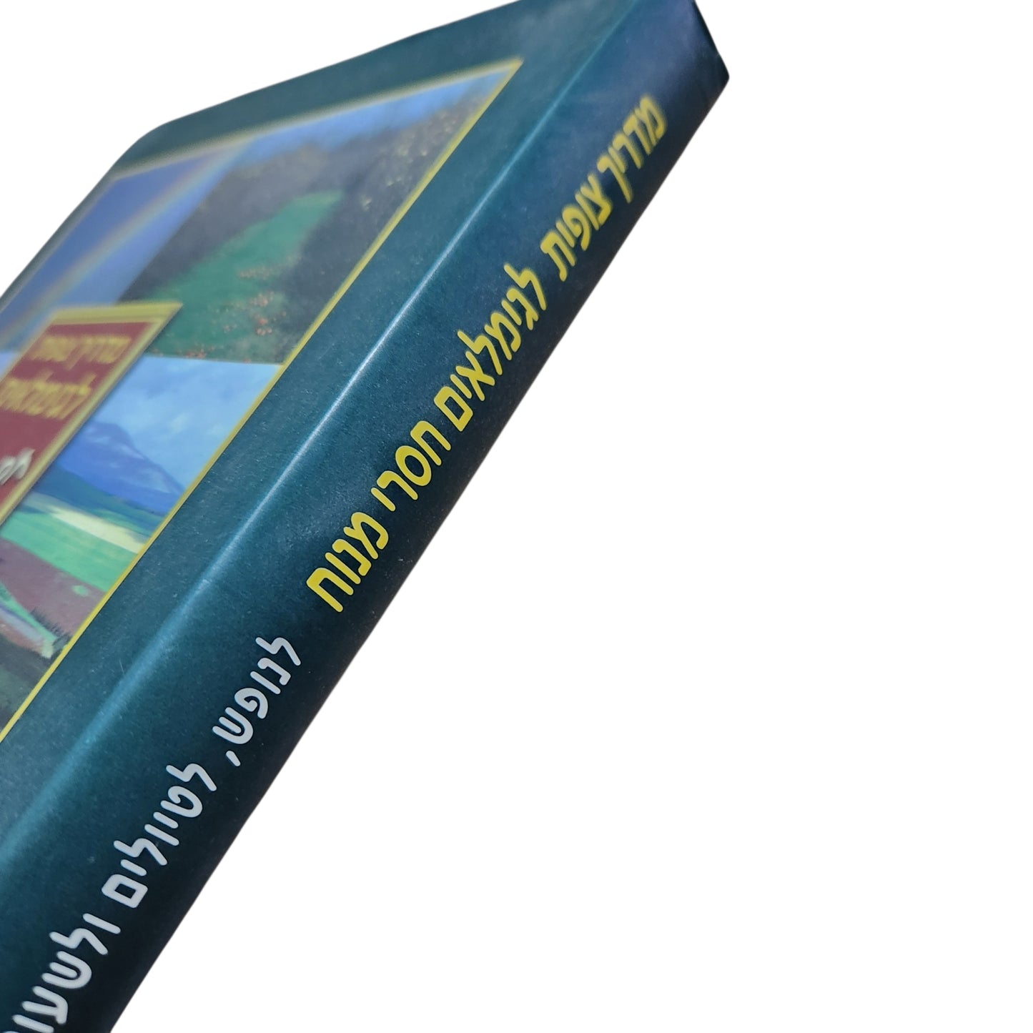 מדריך צופית לגימלאים – חסרי מנוח | לנופש, לטיולים ולשעות הפנאי | לנופש ולטיולים