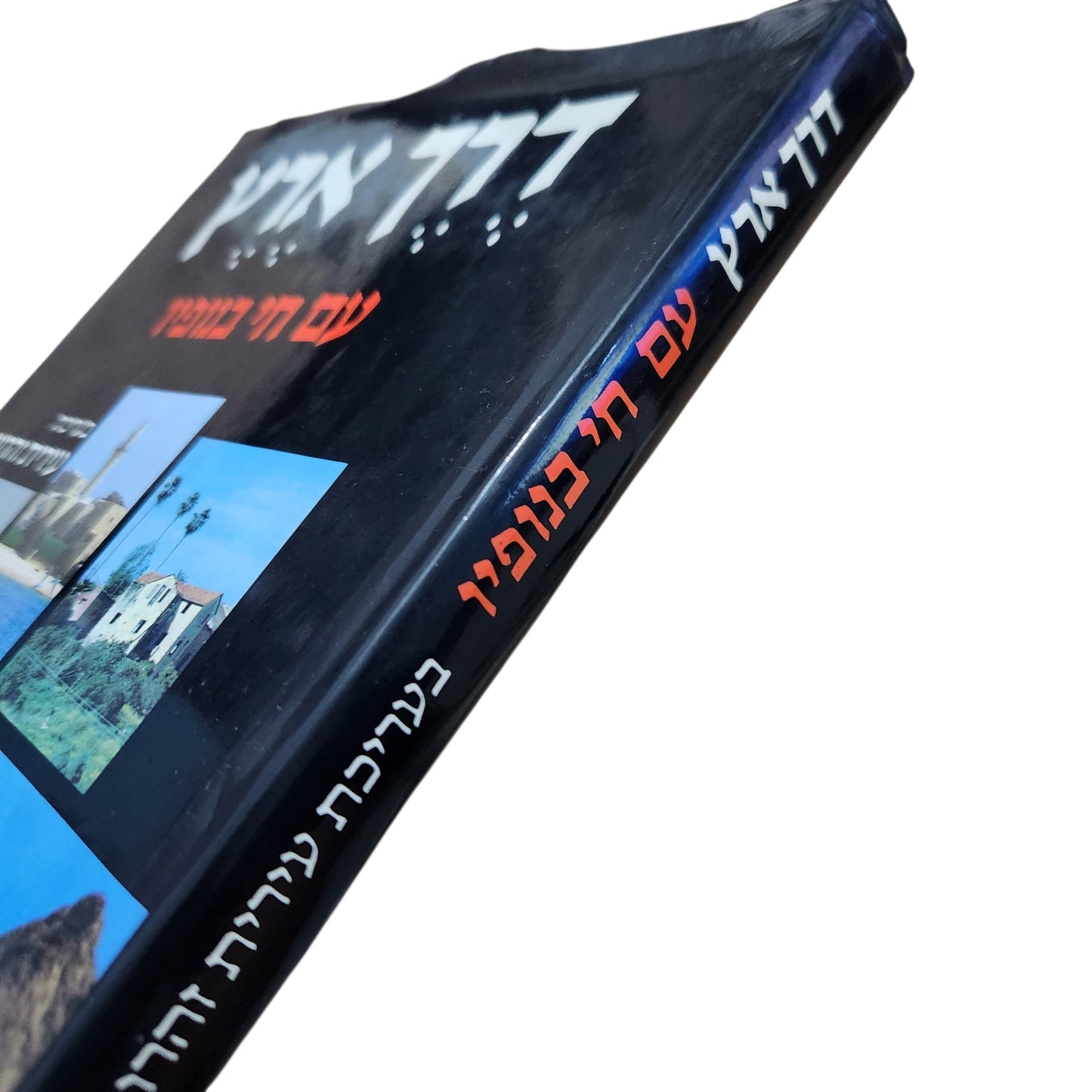 דרך ארץ עם חי בנופיו | עריכת עירית זהרוני | אלבום ארץ ישראל | 1983