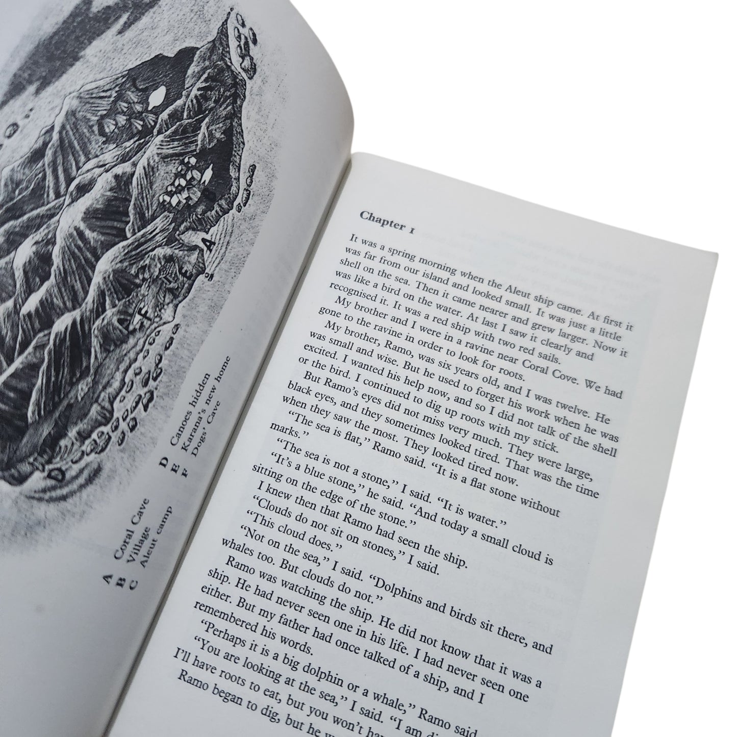Island of the Blue Dolphins – Scott O'Dell | Longman Structural Readers Stage 4