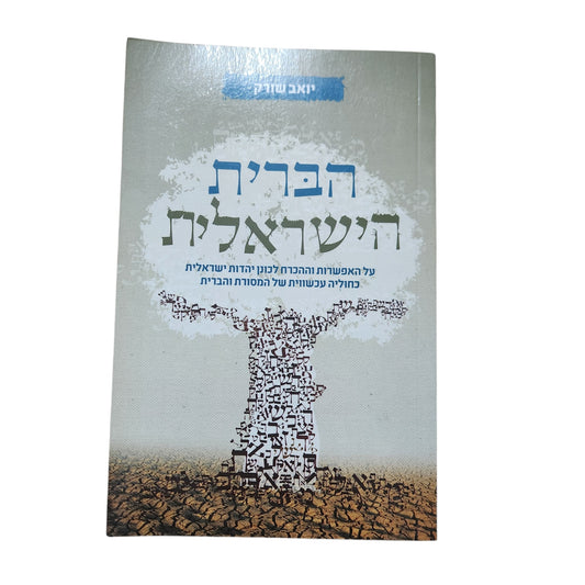 הברית הישראלית – יואב שורק | 2015 | ידיעות ספרים