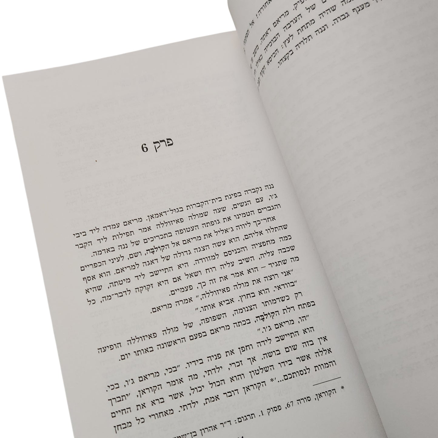 חאלד חוסייני | אלף שמשות זוהרות
