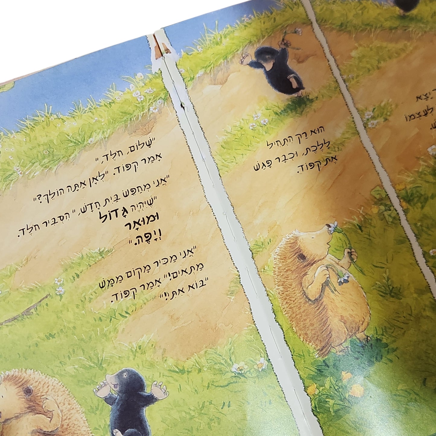 אין כמו בבית | ג'ונתן אמט | ספר ילדים
