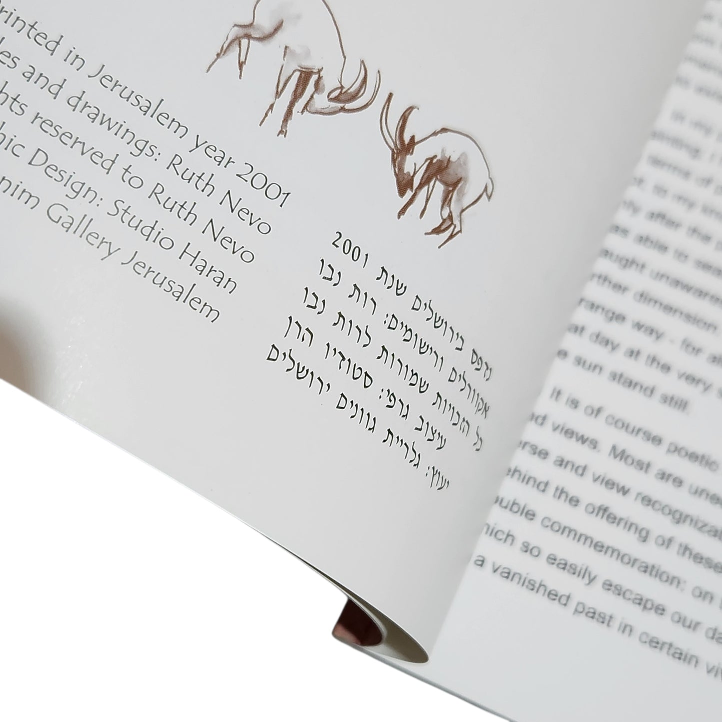 Ruth Nevo | Landscapes Now and Then | Book of Days to Remember