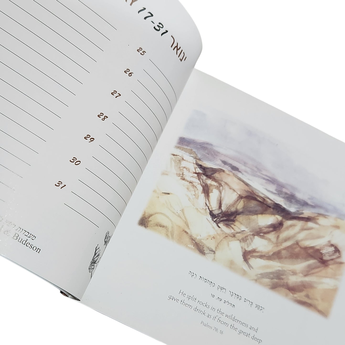 Ruth Nevo | Landscapes Now and Then | Book of Days to Remember