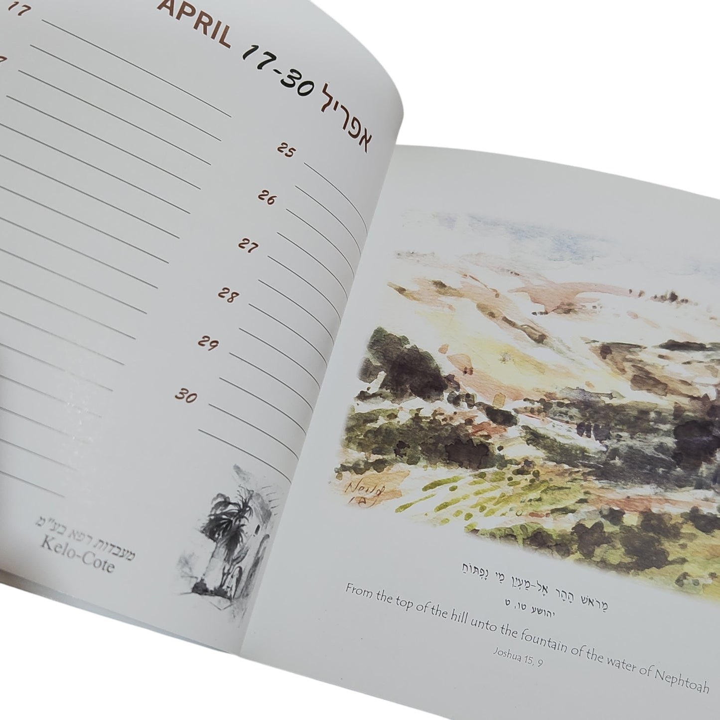 Ruth Nevo | Landscapes Now and Then | Book of Days to Remember