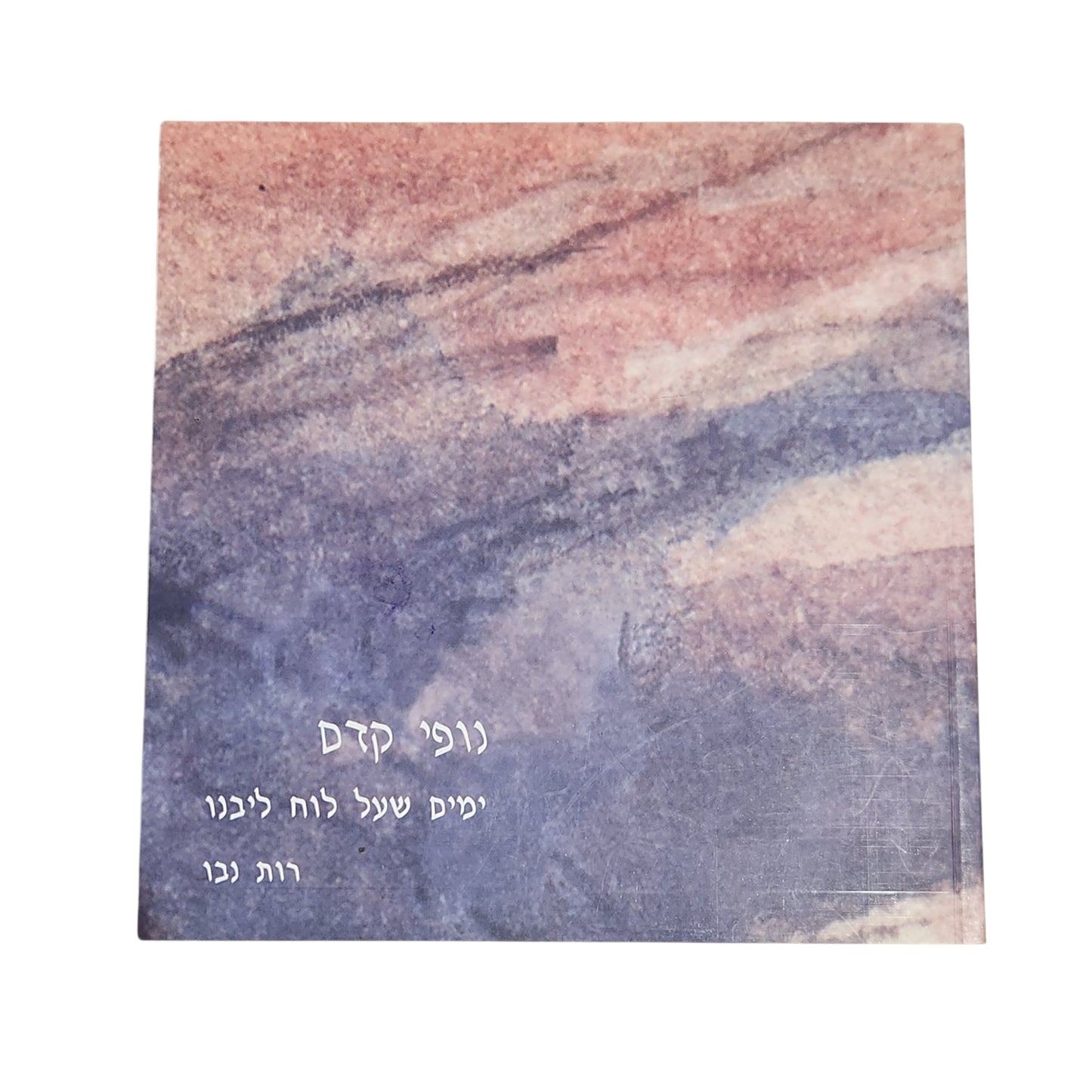 Ruth Nevo | Landscapes Now and Then | Book of Days to Remember