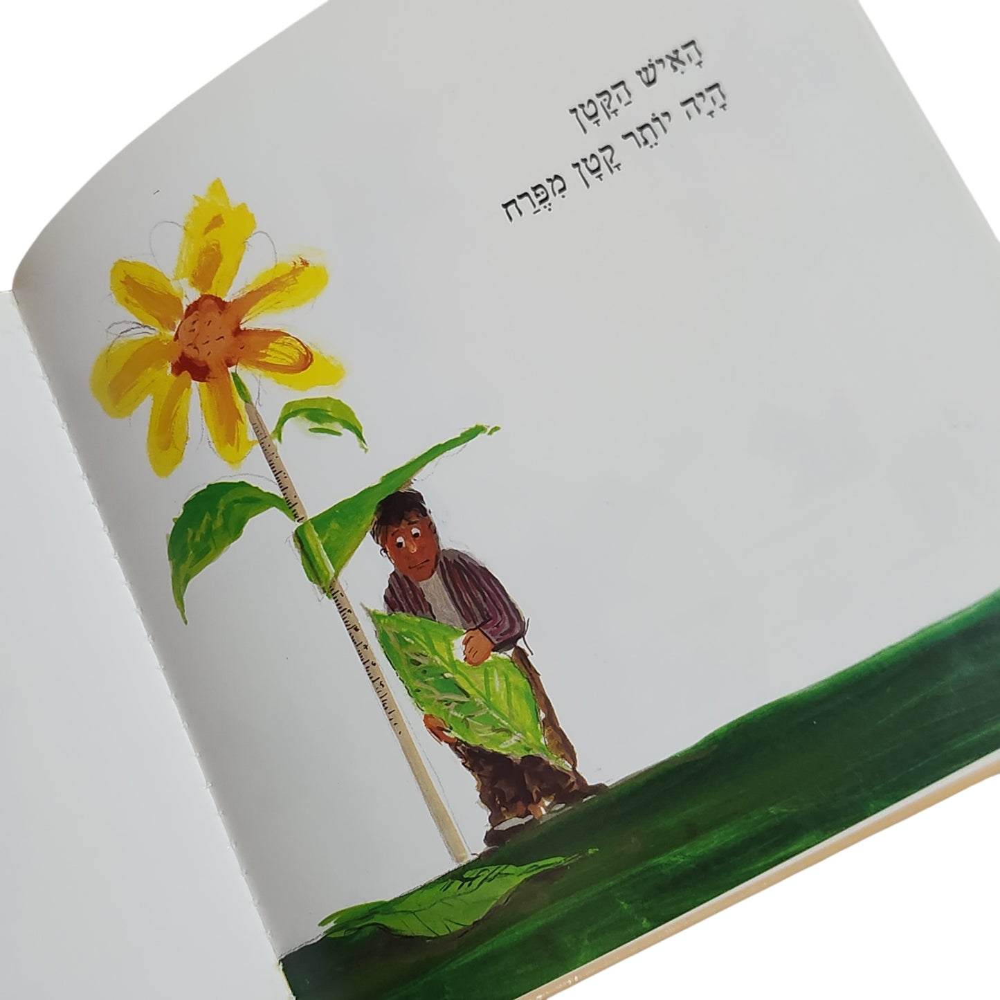 הסיפור על האיש הקטן | תמי לוי נחום