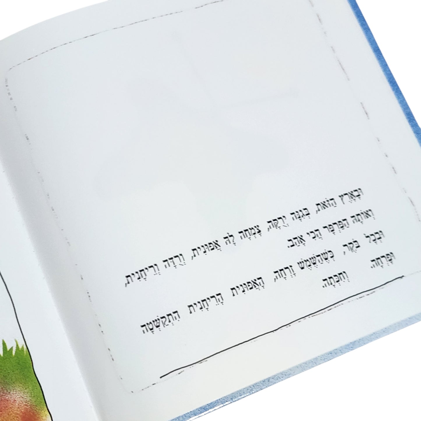 פרפר הזהב והאפונית