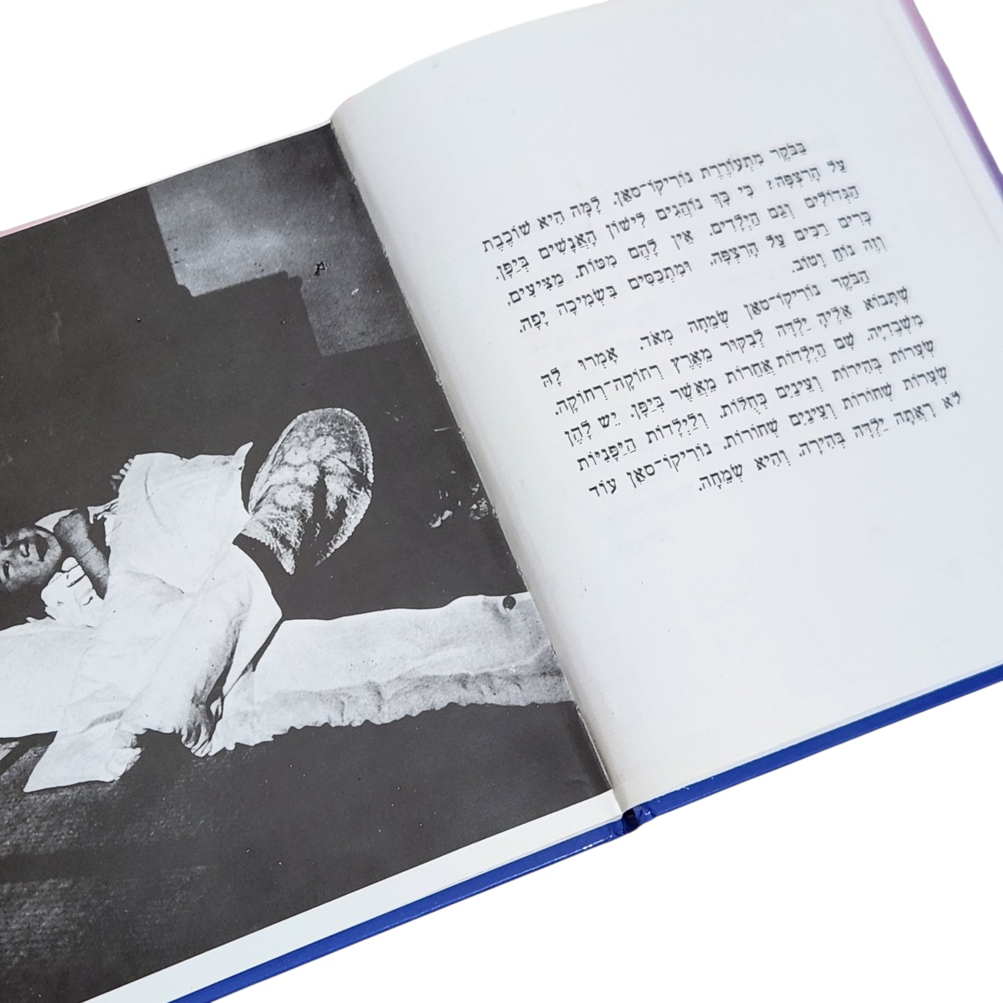 נוריקו־סאן, הילדה מיפן