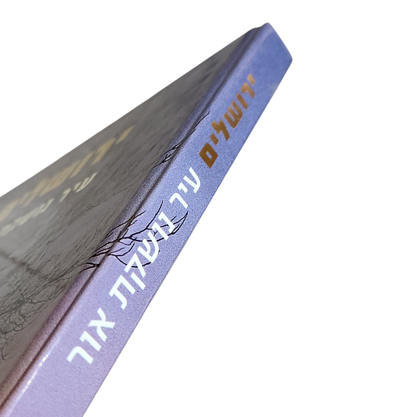 ירושלים | עיר נושקת אור