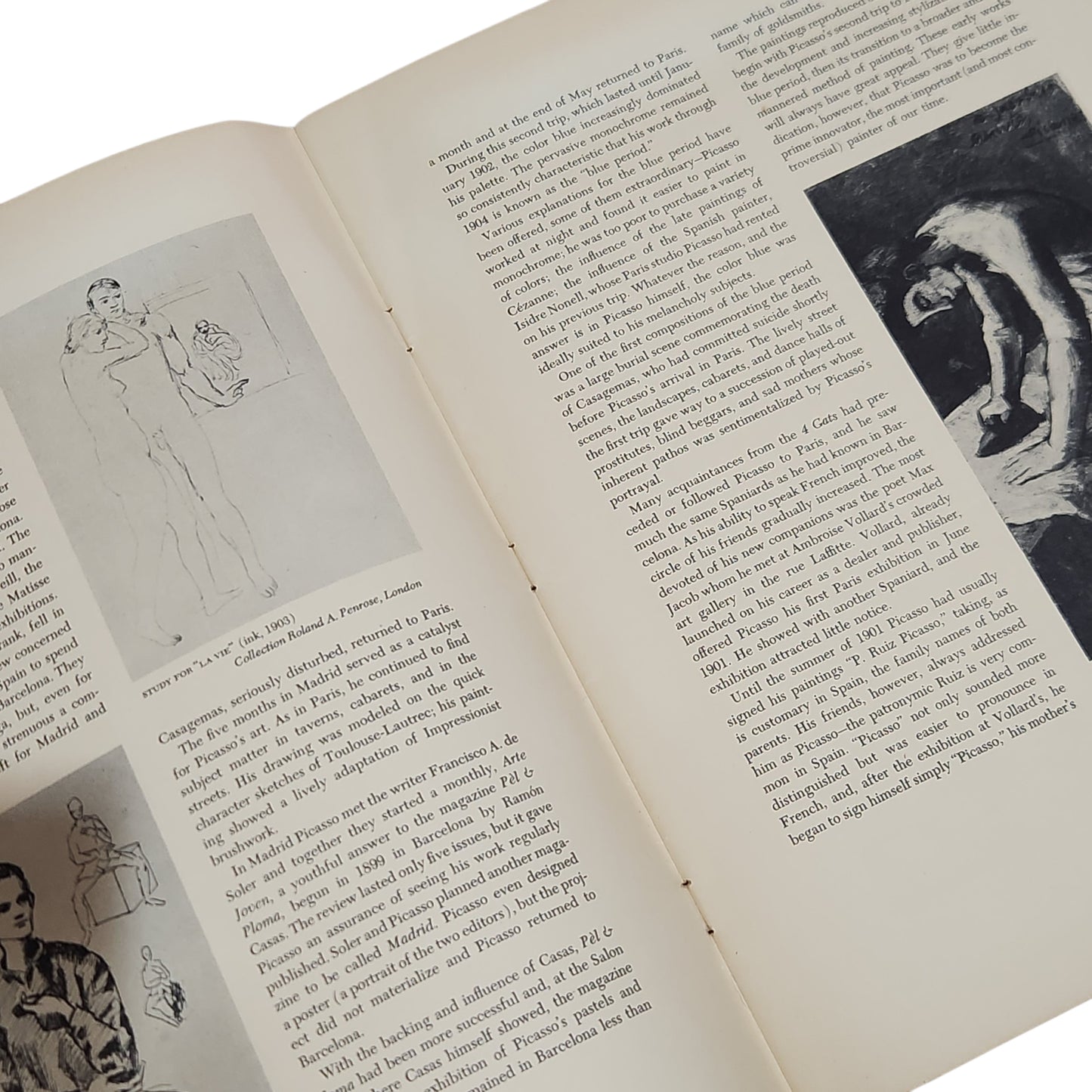 PICASSO: Blue and Rose Periods