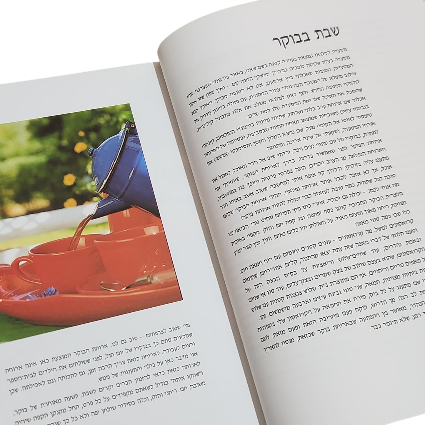 ארוחות ערוכות | ישראל אהרוני