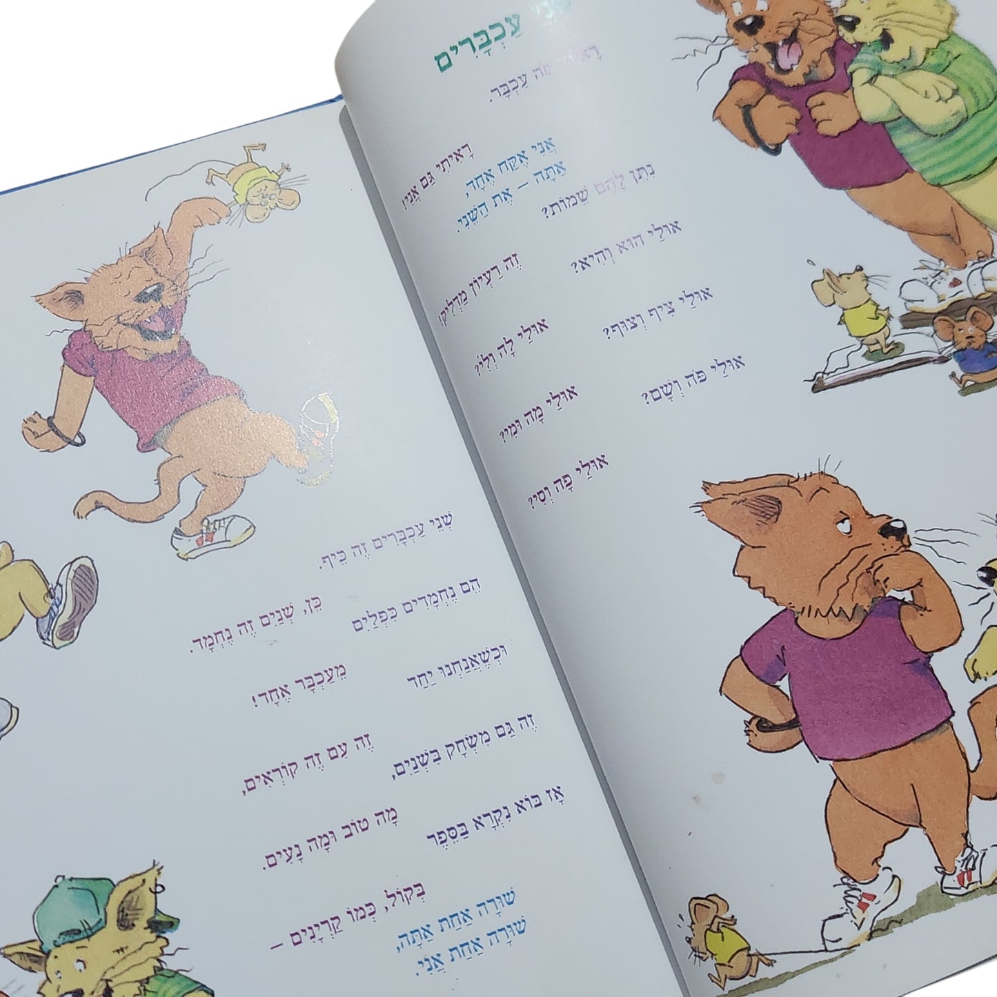 שורה אני, שורה אתה – סיפורים קצרים לקריאה ביחד | מרי אן הוברמן