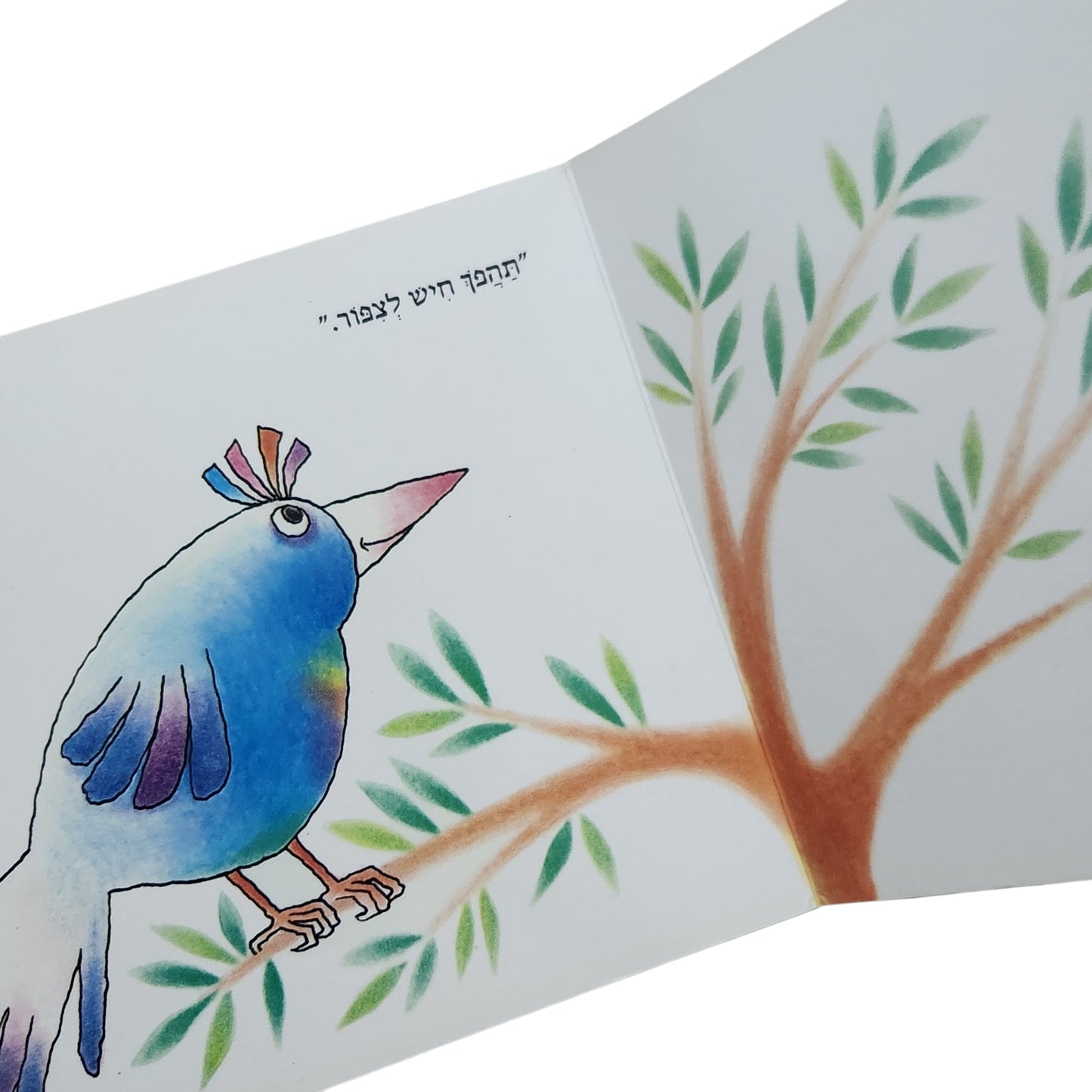 הדג שלא רצה להיות דג – פאול קור