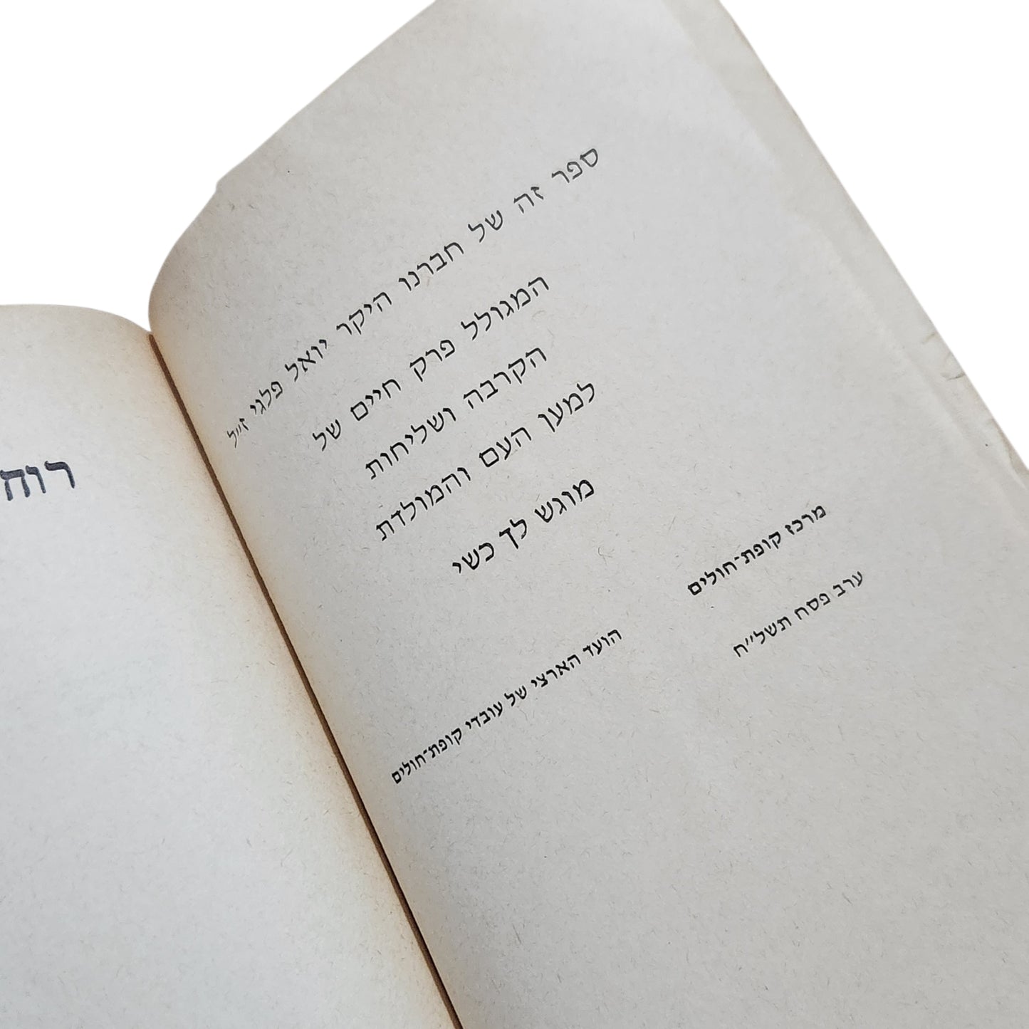 רוח גדולה באה – יואל פלגי | 1978