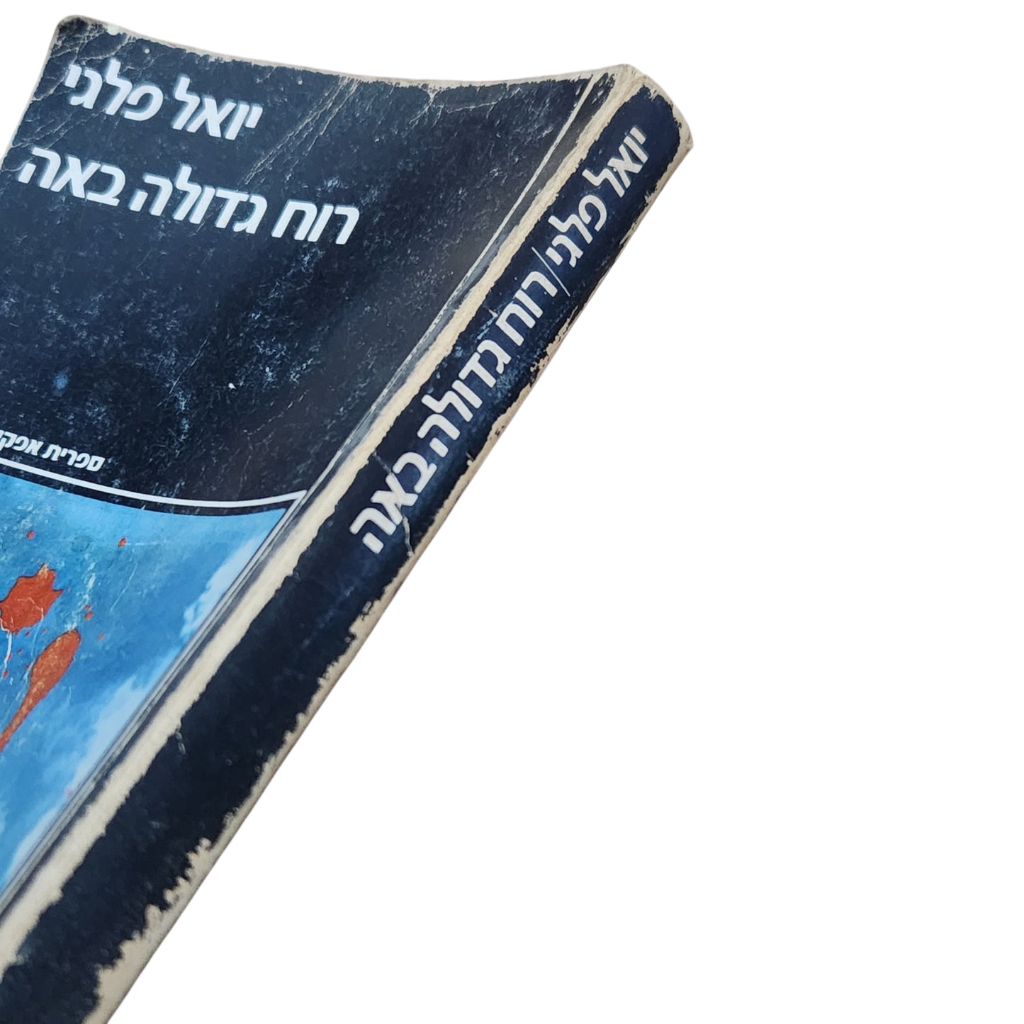 רוח גדולה באה – יואל פלגי | 1978