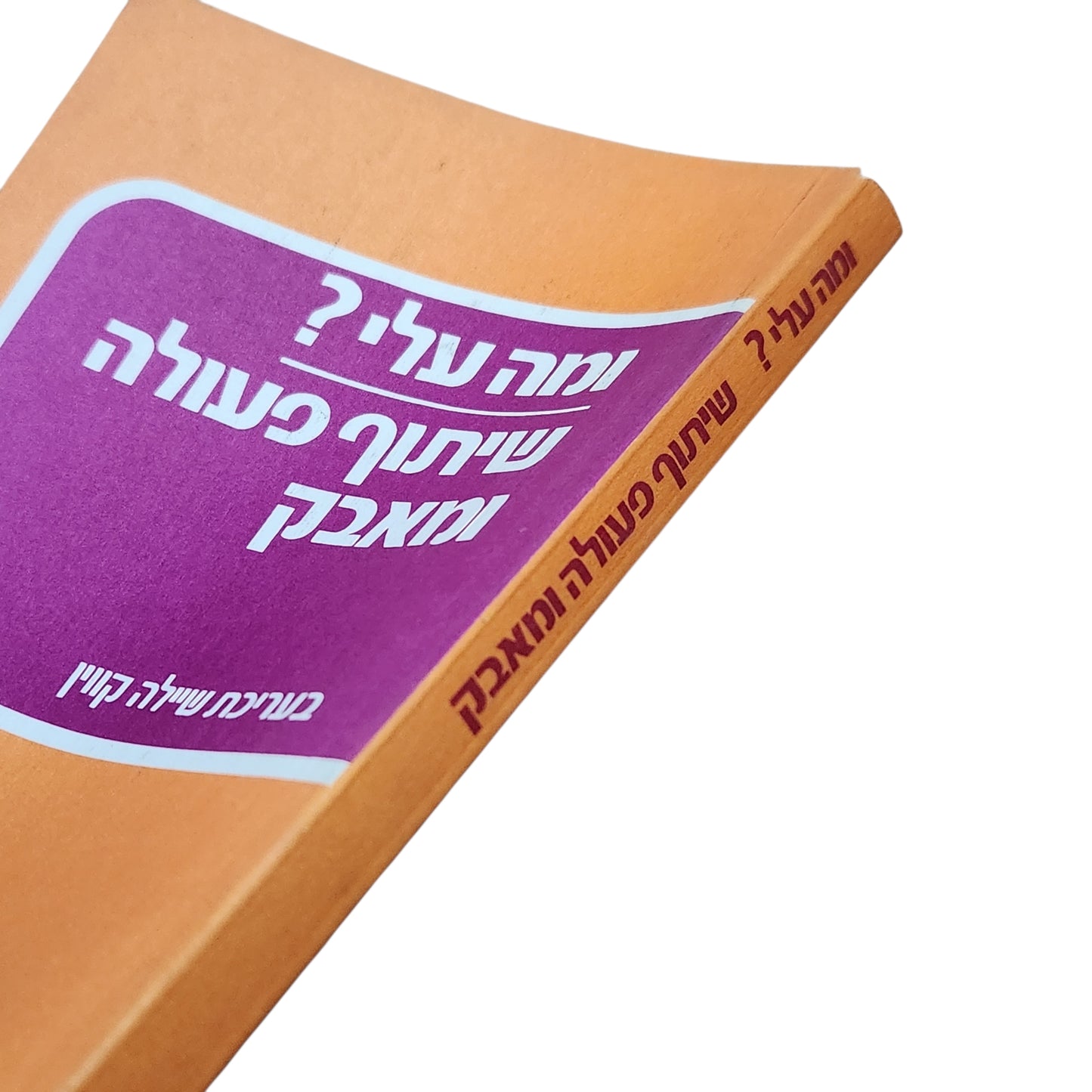 ומה עלי? שיתוף פעולה ומאבק – בעריכת שילה קווין | 1988