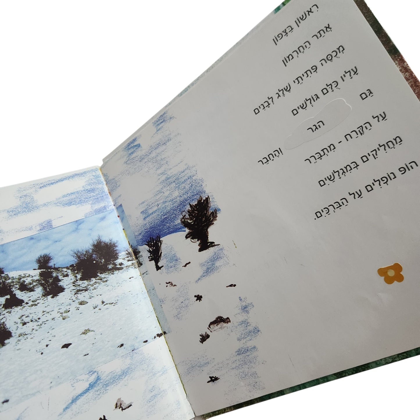 הטיול שלי בארץ ישראל / עידית ויינברגר