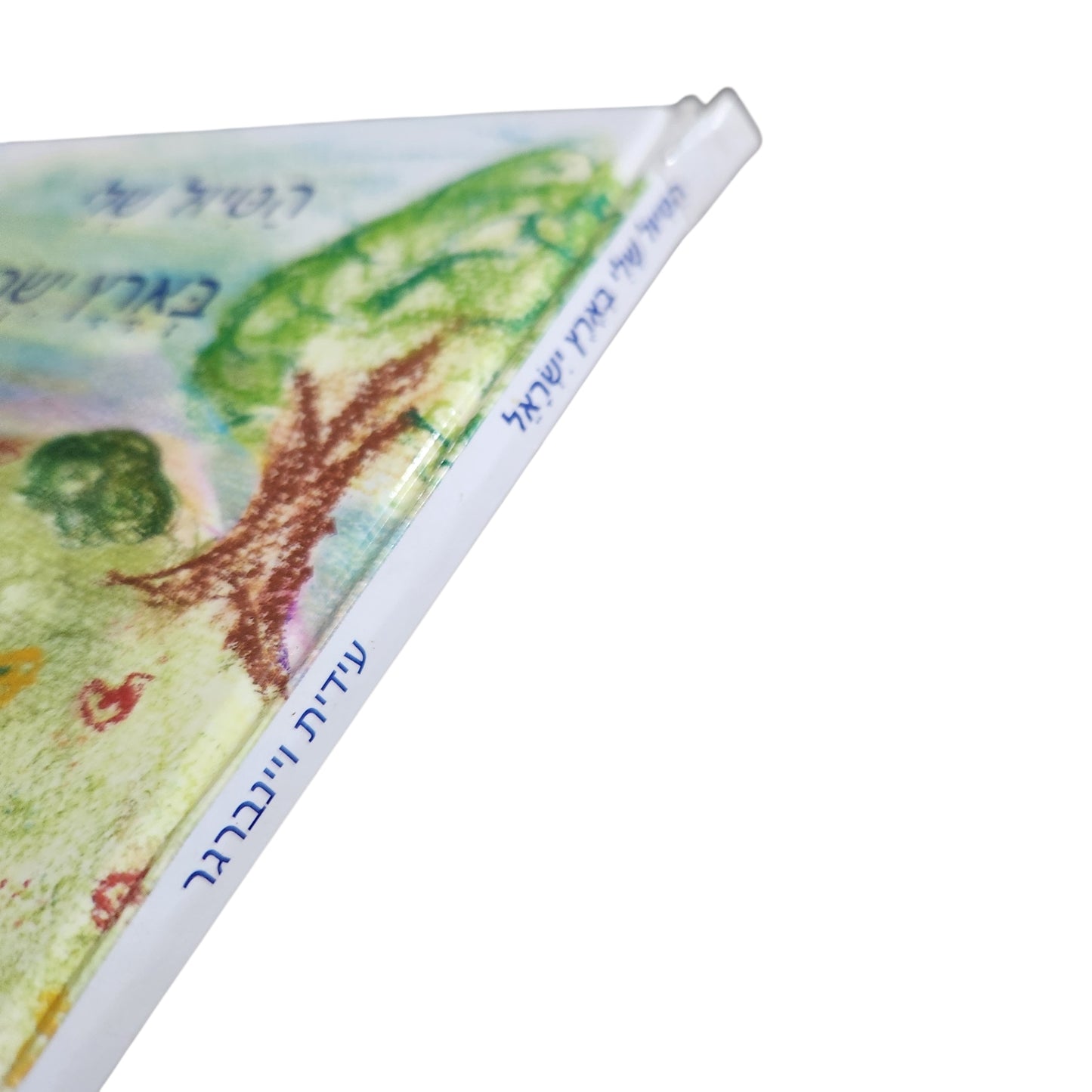 הטיול שלי בארץ ישראל / עידית ויינברגר
