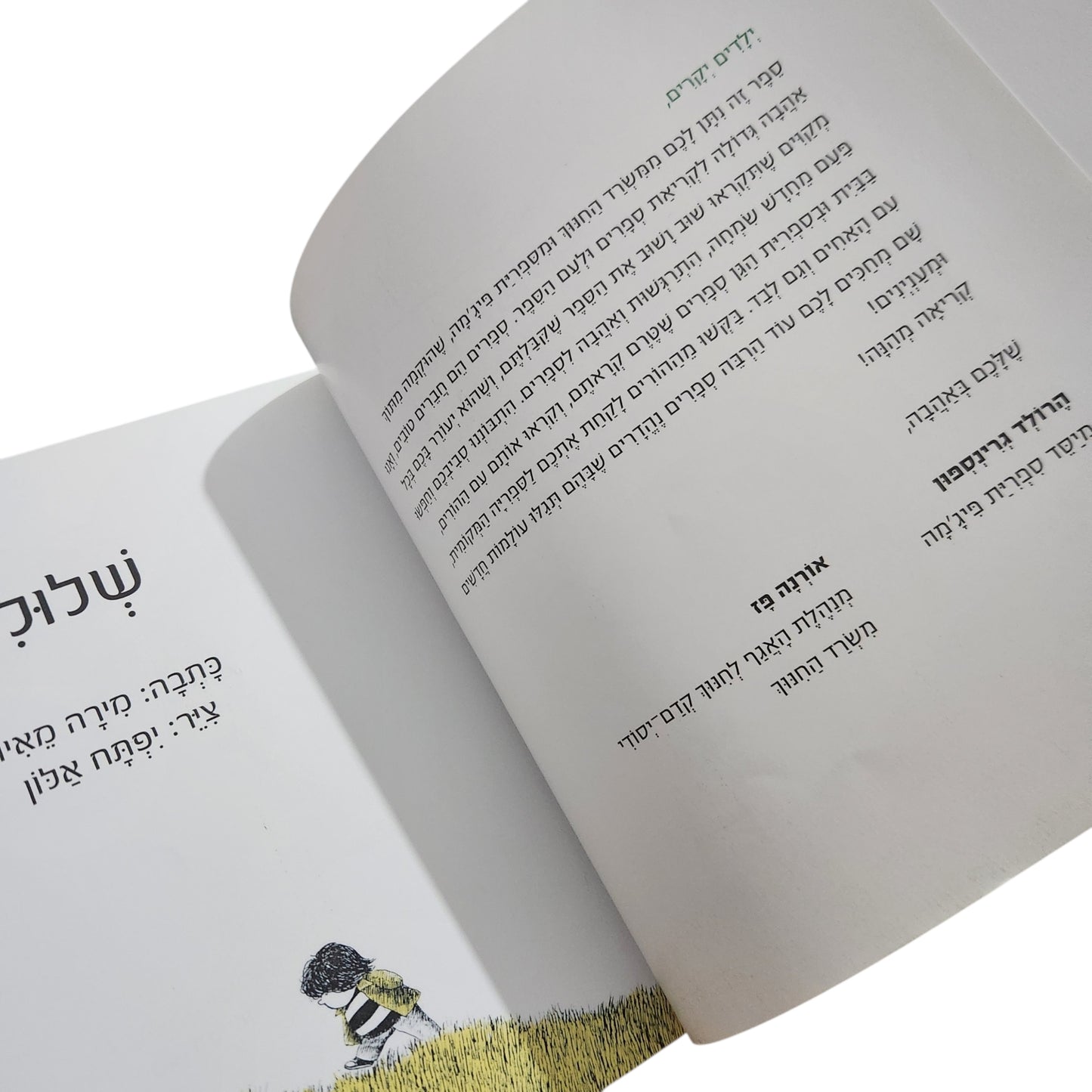 שלולי / מירה מאיר