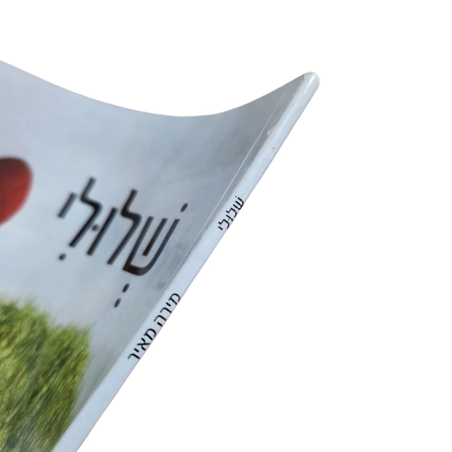 שלולי / מירה מאיר