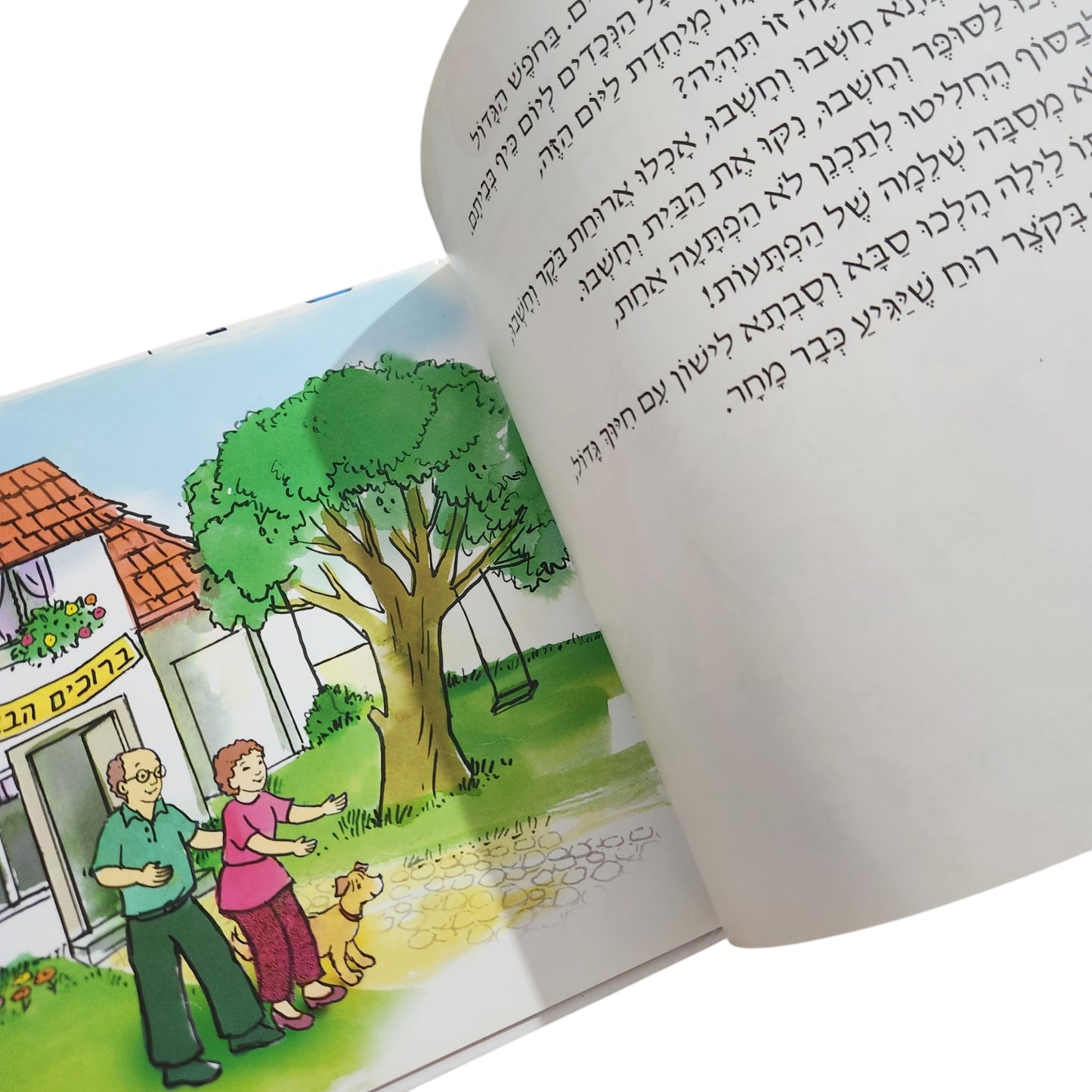 מסיבת ההפתעות / רותי שקד